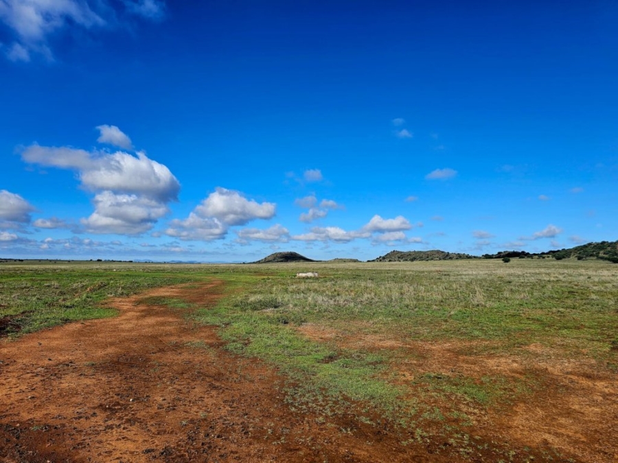 3 Bedroom Property for Sale in Bloemfontein Rural Free State